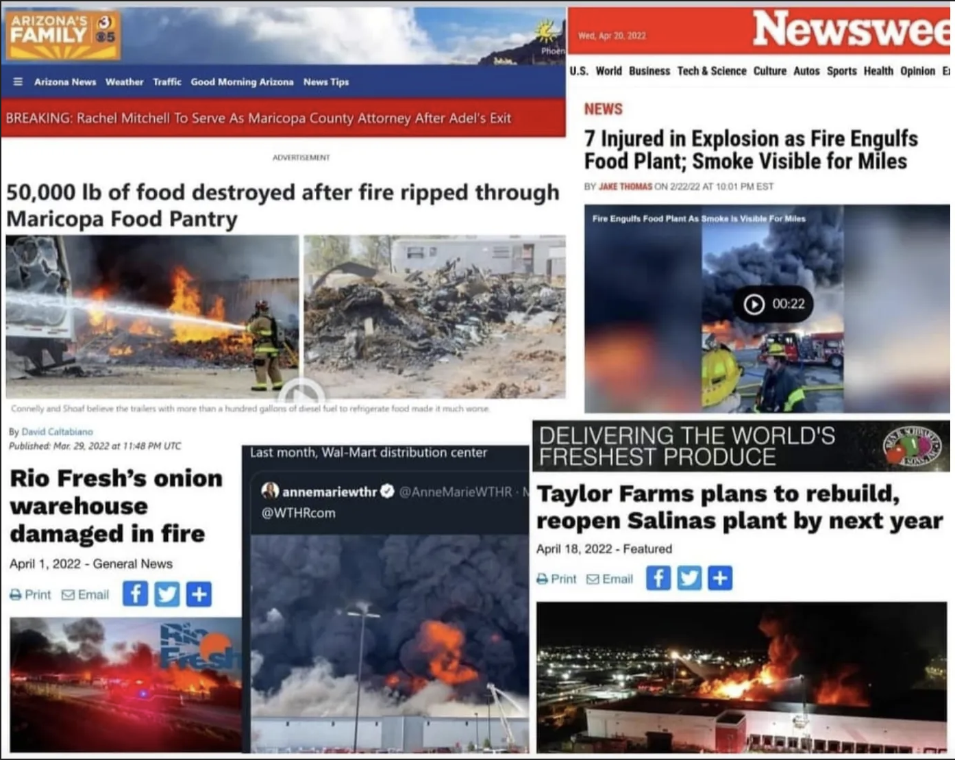 Food Shortages and Food Processing Plant Fires – What’s Going On?