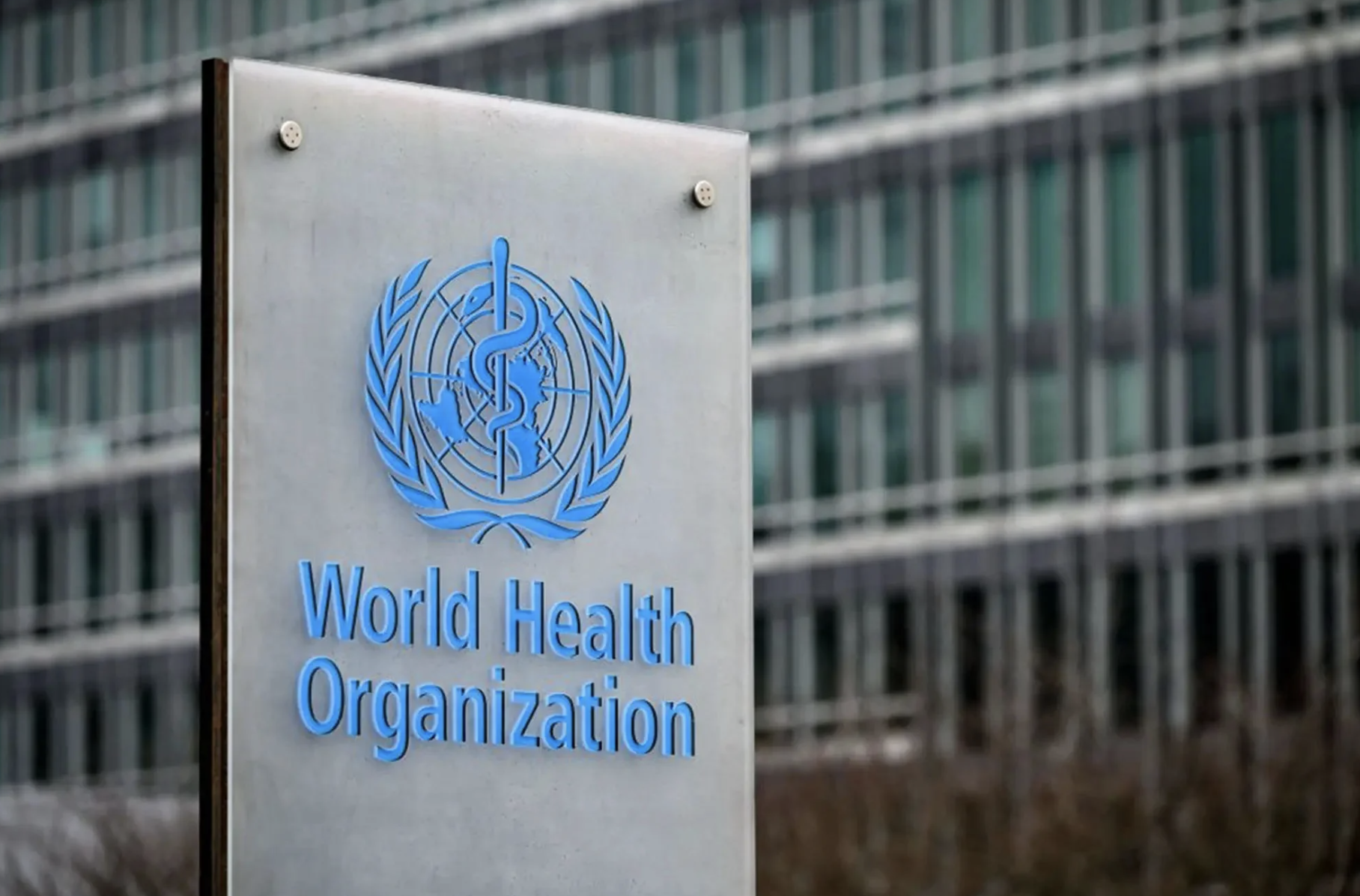 World Health Organization Issues New Gender Guidance: ‘Sex Is Not Limited To Male Or Female’