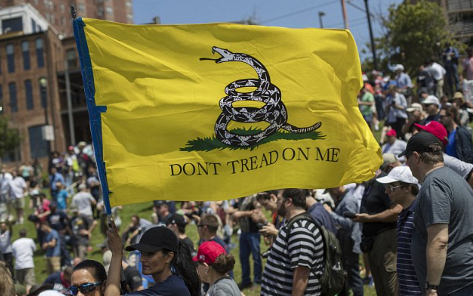 FBI Training Materials Designate Gadsden Flag and Historic American Symbols as Evidence of Militia Violent Extremists