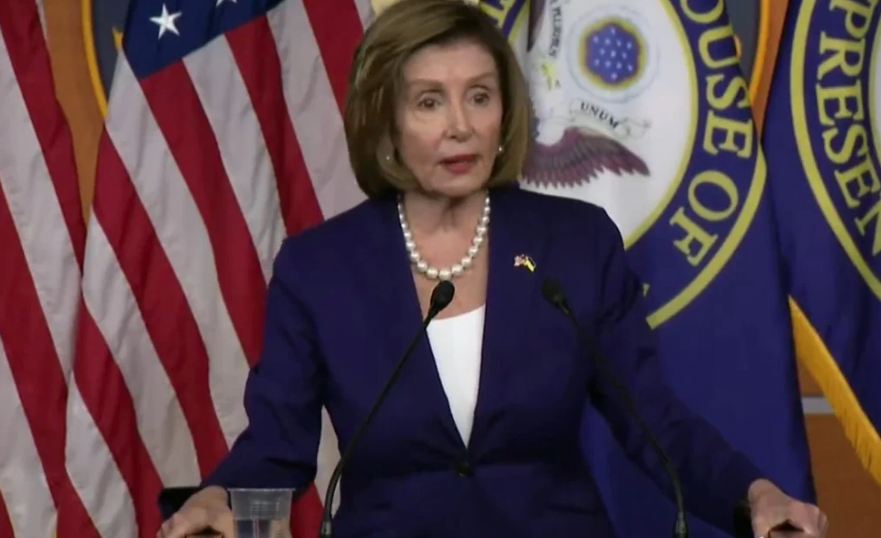 Pelosi Says Illegal Aliens Need to Stay in Florida to “Pick the Crops Down Here”