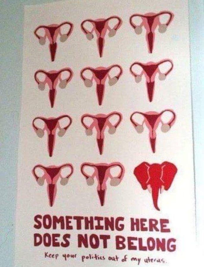Crazy Feminism! Democrats Can’t Define What A Woman Is, Now Write ‘Dear Women’ You Must Vote For Us