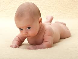 Democrat Activists Want To Monitor Pro-Life Activists And Report Them To The Government