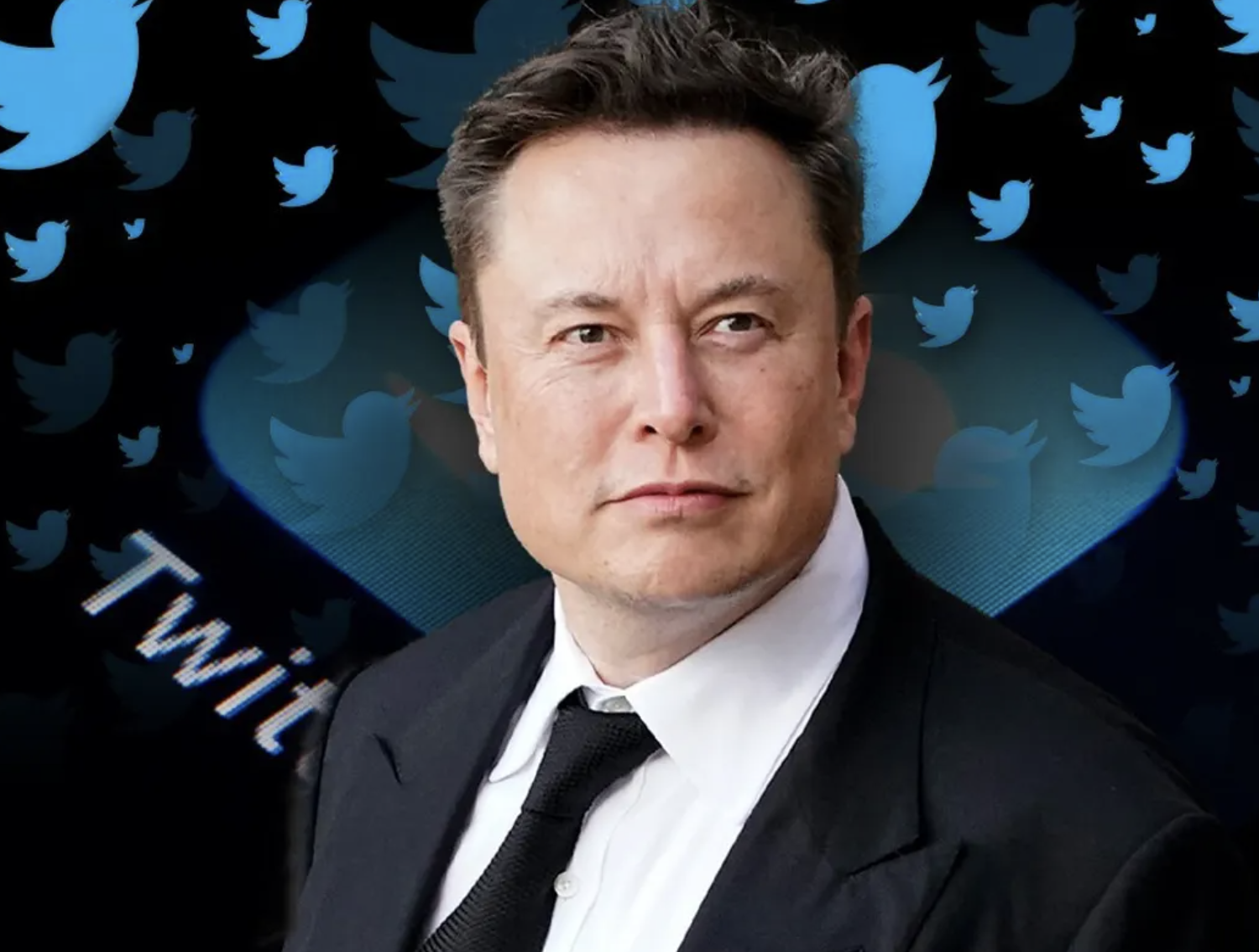 MOB RULE: Elon Musk Asks Commies Who Destroyed Twitter…If He Should Fix Twitter