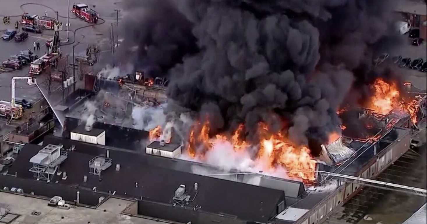 Whistleblower: US Government Covering Up WEF Attack On The Food Supply (Video)
