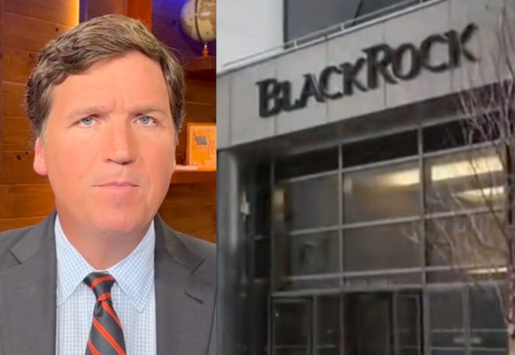 Newsmax’s Carl Higbie Questions Whether BlackRock Played A Role In ...